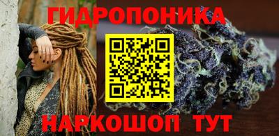 эйфоретик Гусь-Хрустальный